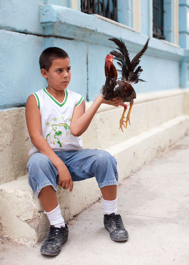 Boy and Rooster