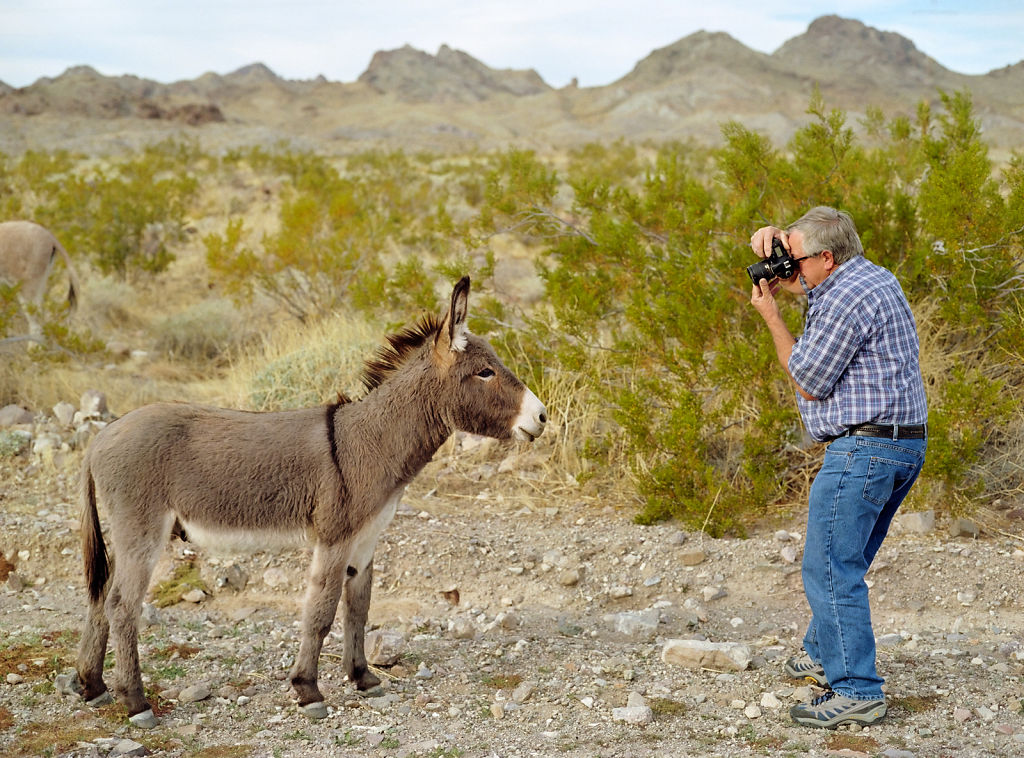 Dad and Donkey