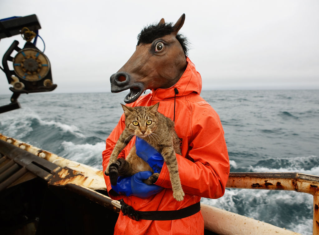 Kitty and Horse Fisherman