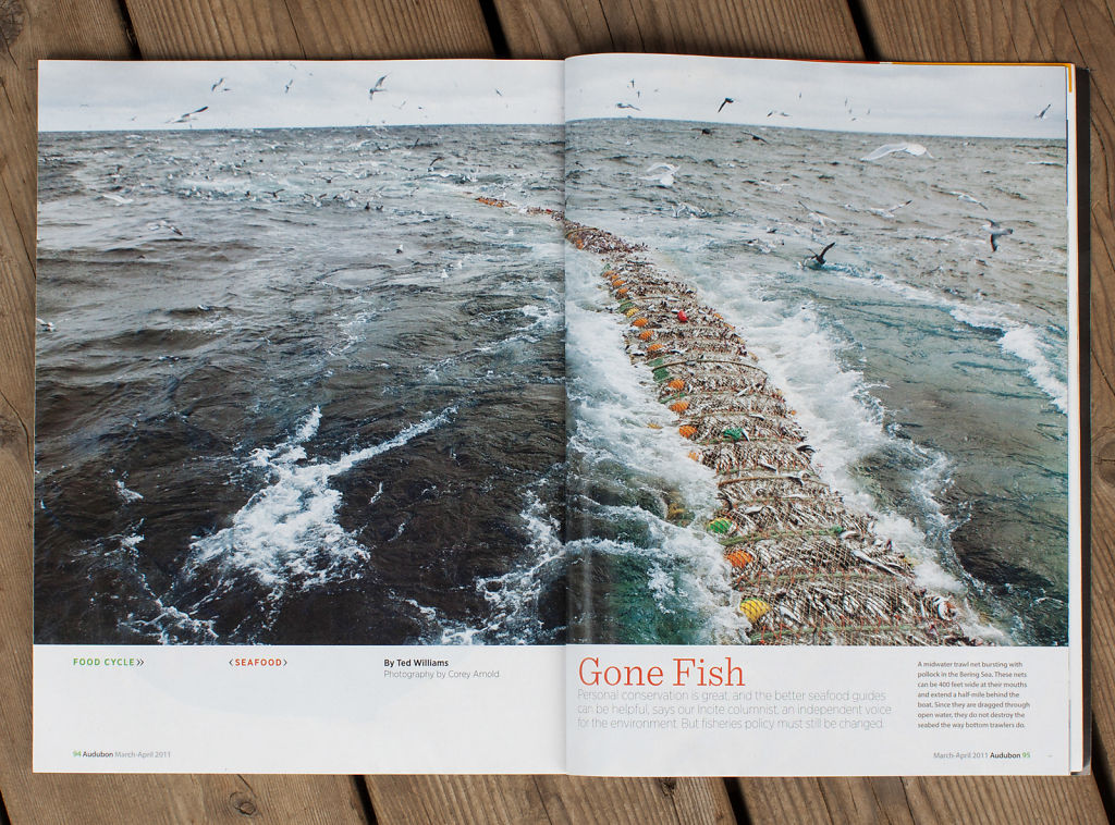 Audubon Magazine 2011