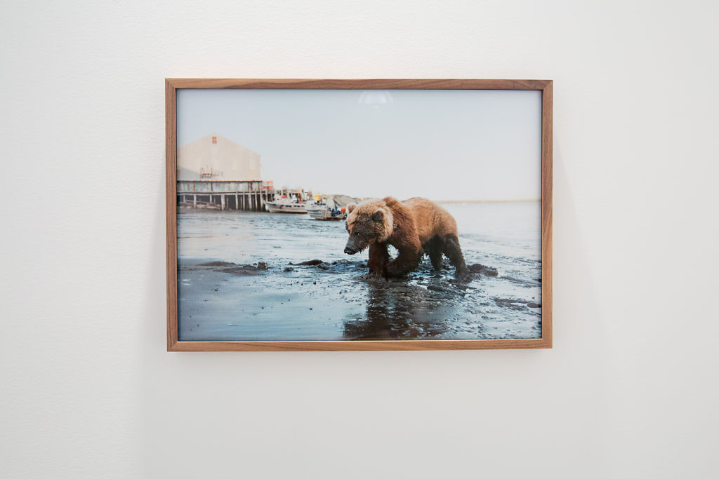 Wildlife / Charles A. Hartman Fine Art / Portland, OR / 2014
