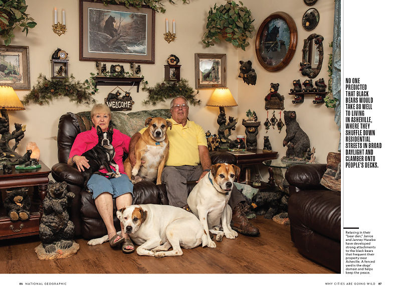 Why Cities are Going Wild National Geographic, July 2022 Corey